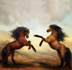 Accompagnement couple